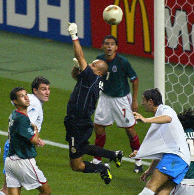 conejo1.jpg