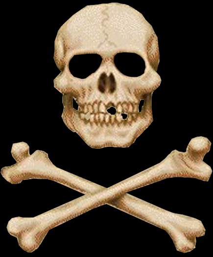 skullfront.jpg